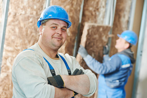 Best Energy-efficient Insulation  in Lawrenceville, VA