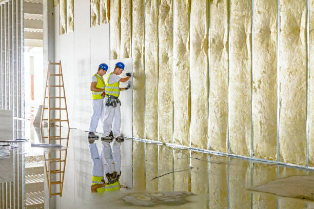 Best Insulation Inspection Services  in Lawrenceville, VA